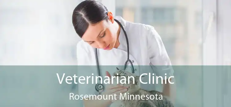 Veterinarian Clinic Rosemount Minnesota