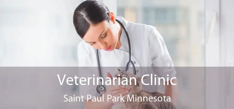 Veterinarian Clinic Saint Paul Park Minnesota