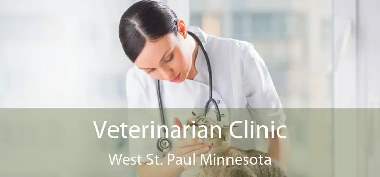 Veterinarian Clinic West St. Paul Minnesota