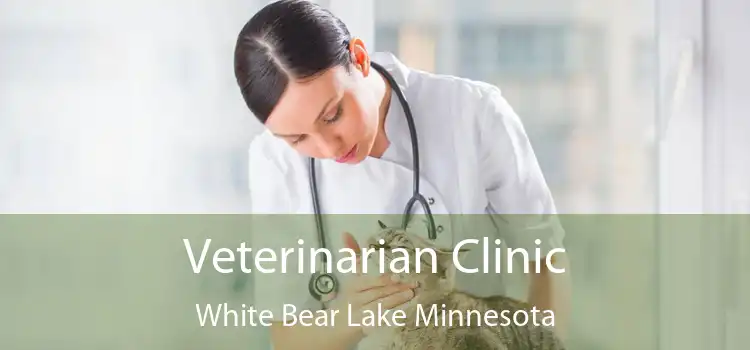 Veterinarian Clinic White Bear Lake Minnesota